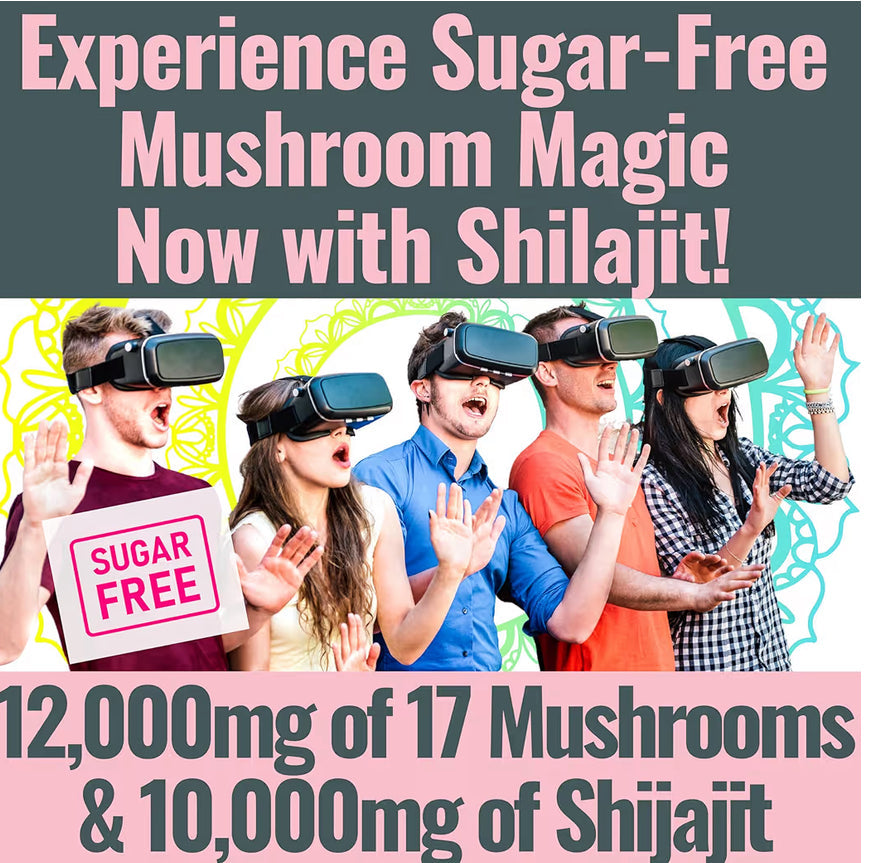 Shilajit + 17 Mushroom Complex Gummies | 22,000mg All-in-One Energy & Immunity Booster | Sugar-Free Peach Mango Flavor